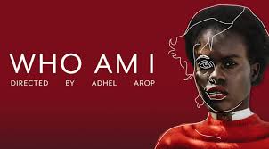 National Screen Institute