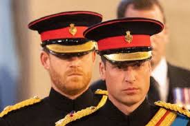 இளவரசர் ஹரி- வில்லியம் மோதலில் யார் வெற்றிபெறுவார்கள்: வெளிவரும் பரபரப்பான  பின்னணி