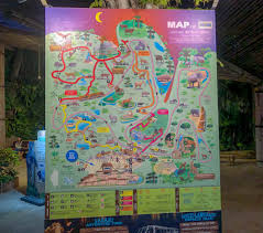 Hours, address, night safari reviews: Singapore S Popular Night Safari Reopens Xyzasia