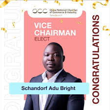 Daniel Ankamah Mensah, MPH