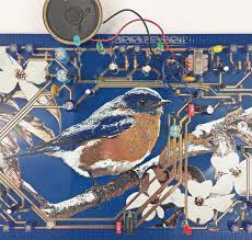 Bildergebnis für Kelly Heaton