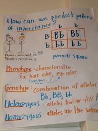 science anchor charts science anchor charts middle school