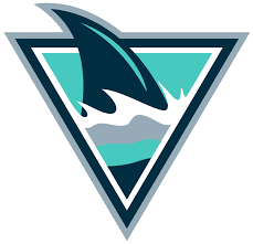 San Jose Sharks Rebrand Update Jan 24 Page 4 Concepts Shark Logo Shark Florida Artwork