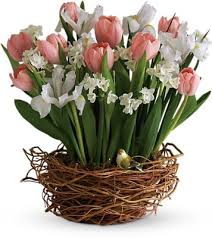 Possibility of delivery the same day if the order is placed before 2pm. Buckingham Florist 90 Photos 48 Reviews Florists 301 North Glebe Road Arlington Va Phone Number Yelp