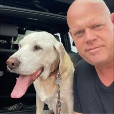 Japanese Classic Cars