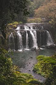Nandroya Falls Wooroonooran National Park Cairns We Seek Travel Blog National Parks Fall Hiking Waterfall Hikes