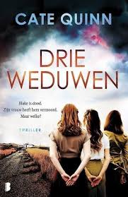 Gelezen Drie Weduwen Cate Quin In 2020 Thrillers Boeken Luisterboek
