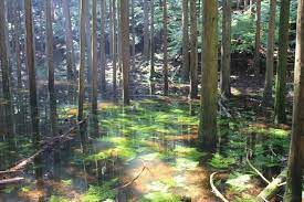 7年に一度しか現れない不思議な池 池の平 の神秘性に心を奪われる 美しい場所 池の平 景観デザイン