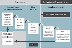 Elle y abordait notamment la maladie rare. Mapping Ecosystem Services