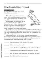 How Fossils Were Formed 3rd 5th Grade Worksheet Dinosaur Worksheets Fossils Lesson Fossils