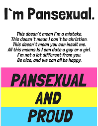 Ｌｇｂｔｑ＋ m e m e s owner: Pansexual Poster Pansexual