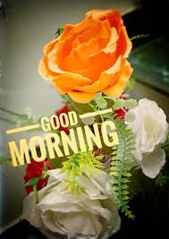 To make it more special and meaningful, here we have come up with the amazing collection of good morning images with flowers. 251 Good Morning Images Wallpaper Picture Photos Download