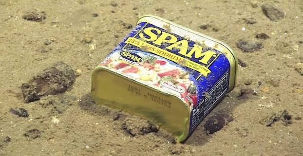 Bullets, bombs, cans and plastic litter the bottom of the Pacific Ocean |  Natural History Museum