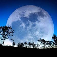 See a recent post on tumblr from @seelenklang about vollmond. Vollmond Info Home Facebook