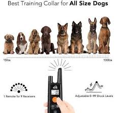 Dog Training Collar In 2020 Dog Training Collar Dog Shock Collar Training Collar