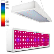 Check spelling or type a new query. Castnoo 800w Led Grow Light Panel Lamp Hydroponic Plant Grow Shopee Philippines