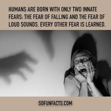 So Fun Facts Interesting Amazing Strange Funny And Weird Fact Funny Weird Facts Weird Facts Fun Facts