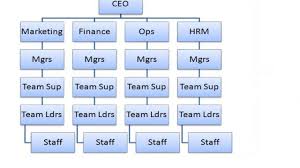 What Is A Tall Hierarchical Structure