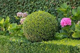Plant borders also complement and soften the edges of hardscape elements like pavers, arbors, garden art, stepping stones, and other outdoor structures. Top 6 Edging Plants To Design Your Perfect Border Florgeous
