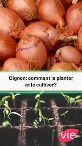 Évolution de la maladie pendant 2jours. Epingle Sur Jardinage