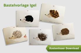 In der bilderstrecke haben wir für sie einige solcher vorlagen mit herbstlichen motiven wie herbstblättern pilzen igel eichhörnchen und andere vorbereitet. Maltechniken Die Spass Machen Mit Kostenloser Vorlage Igel