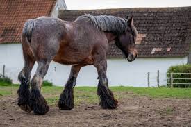 Image result for "draft" -site:wikipedia.org -site:wikimedia.org