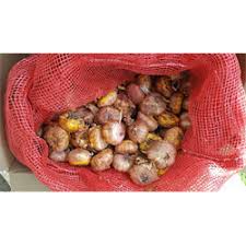 Gladiolus / dahlia / lily receiving guide among the most striking of the flowers that bloom from bulbs, gladiolus are best known and most often grown for cut flowers. Bulk Gladiolus Bulbs Sword Lily Flower Terra Ceia Farms
