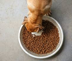 They produce all quality food items those are biologically appropriate for a dog's diet. What Are Some Alternatives To Wainwright S Dog Food Explained Animals Hq