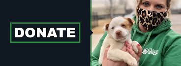 We are so excited you are interested in our volunteer program! Home Tulsa Spcatulsa Spca