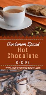 Cardamom Spiced Hot Chocolate Recipe In 2020 Spiced Hot Chocolate Recipe Hot Chocolate Recipes Fresh Cherry Cobbler Recipe
