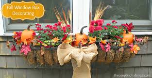 Ensure your window boxes are always overflowing with an abundance of beautiful blooms using our everlasting mum fall window box filler. Fall Window Boxes