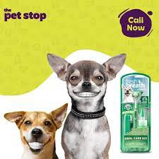 Maybe you would like to learn more about one of these? Pet Stop Abu Dhabi Posts Facebook