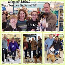 Primed pack leader is the primed variant of pack leader that heals a kubrow, kavat, or moa companion by a percentage of the damage dealt by a warframe's melee attacks. Pack Leaders Rescue Pack Leaders Rescue Of Connecticut Facebook