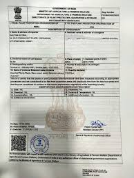 Image result for Salvadora australis