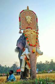 Pin By Anandha Krishnan On A27 India Art Elephant Photography Elephants Photos