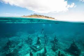 While you can pretty much go diving anywhere here and still have a blast, the best diving is found near ko tao and up near the similans. Best Diving In Indonesia Top 5 Scuba Diving Destinations