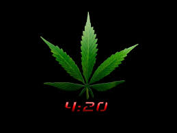 Weed drugs marijuana 420 nature psychedelic plant cannabis. 49 420 Wallpaper On Wallpapersafari