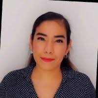 80+ perfiles de «Bernal Cruz»