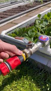 Mary Boris (marinagramotina)