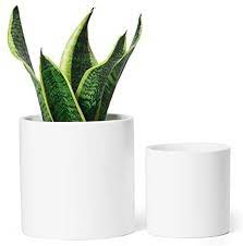 Check spelling or type a new query. Greenaholics White Ceramic Plant Pots 5 9 And 4 7 Inch Indoor Planters With Drainage Holes For Flowers Small Modern Set Of 2 Amazon Ae Patio Lawn Garden