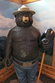 Forest service and must be associated with a message of fire prevention. Remember Only You Can Prevent Forest Fires Bild Von Smokey Bear Historical Park Capitan Tripadvisor