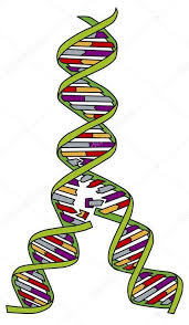 ÐÐ°ÑÑÐ¸Ð½ÐºÐ¸ Ð¿Ð¾ Ð·Ð°Ð¿ÑÐ¾ÑÑ Ð´Ð½Ðº ÑÐµÐ¿Ð»Ð¸ÐºÐ°ÑÐ¸Ñ