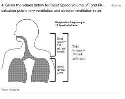 What is a dead space volume? 4 Points 4 Given The Values Below For Dead Space Chegg Com