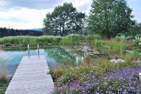 Natürlich ist der pool im garten toll zum schwimmen und plantschen mit der familie und freunden oder zum abkühlen und entspannen. Schwimmteich Contemporary Pool Other By Garten Und Landschaftsbau Pohl Gmbh