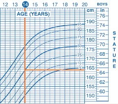 average height for a 14 year old boys height average