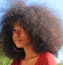Pin By Mojo Jojo On Hair Poofy Hair Natural Hair Styles Afro Textured Hair