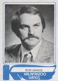 1977-78 Kalamazoo Wings (IHL) Hockey