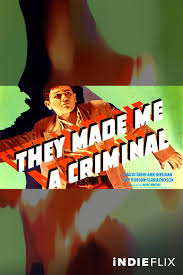 Prime Video: They Made Me A Criminal