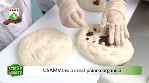 Замечания и предложения направляйте по адресу 1pizza.by@gmail.com. Usamv IaÈi A Creat Painea OrganicÄ 14 12 2020 Youtube
