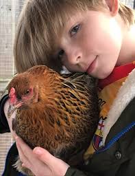 Obituary for Anders Nathanael Hart